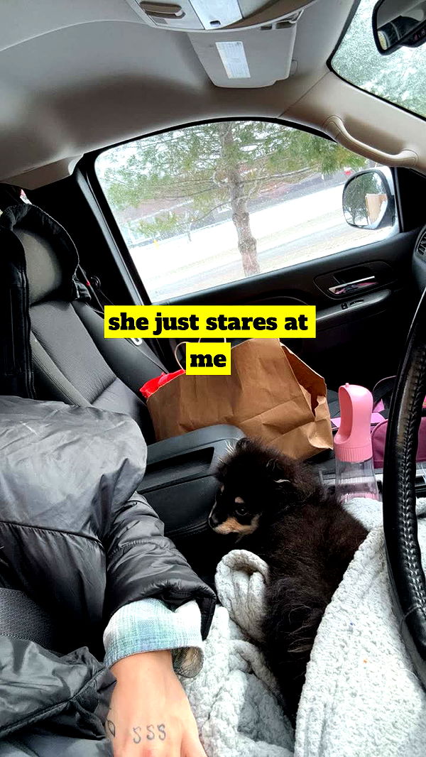 kaygcarlson image ~ Altpins