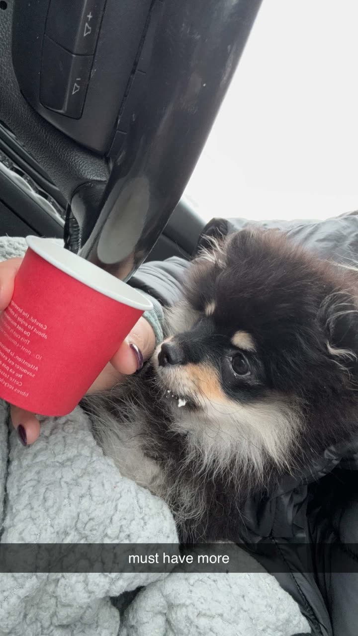 kaygcarlson snapchat image archive image