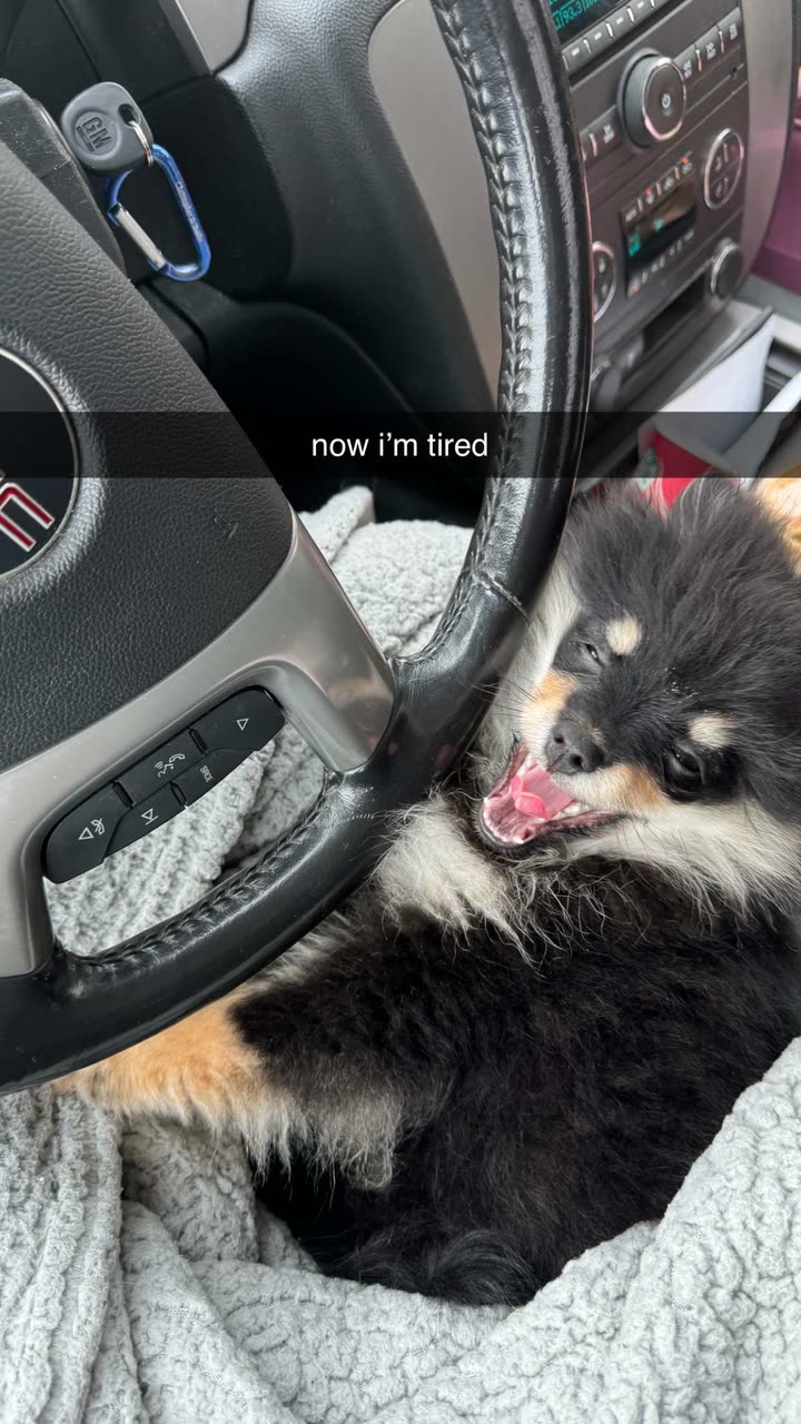 kaygcarlson snapchat image archive image