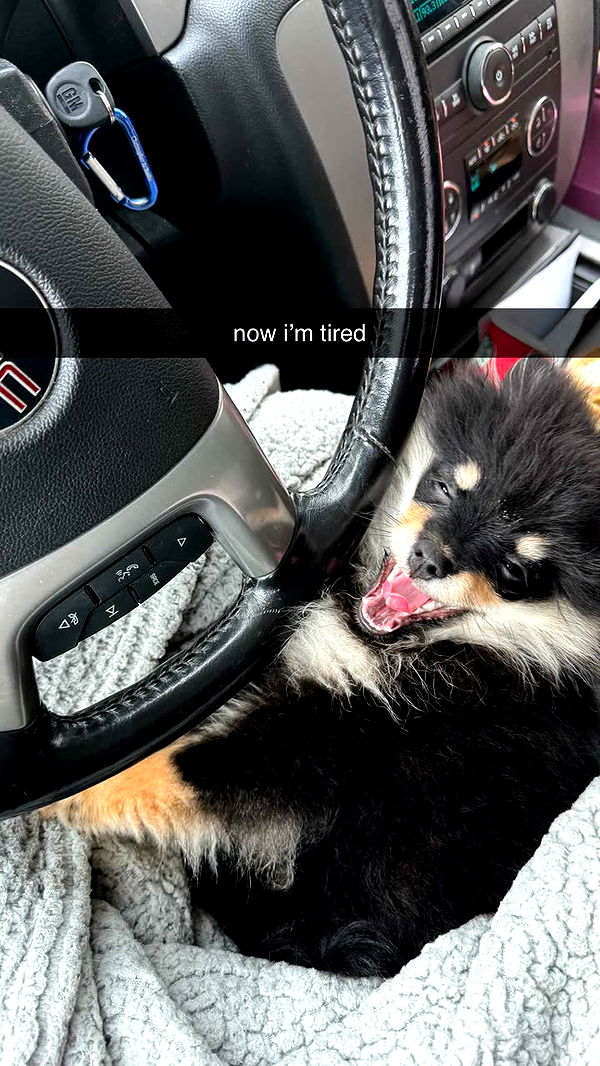 kaygcarlson image ~ Altpins