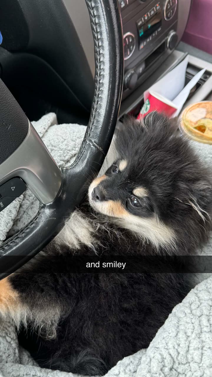 kaygcarlson snapchat image archive image