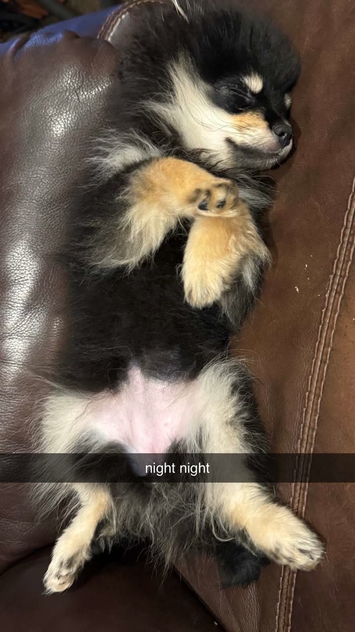 kaygcarlson snapchat image archive image