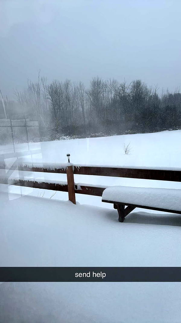 kaygcarlson image ~ Altpins