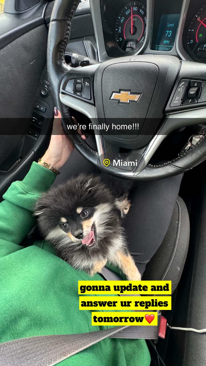 kaygcarlson snapchat image archive image