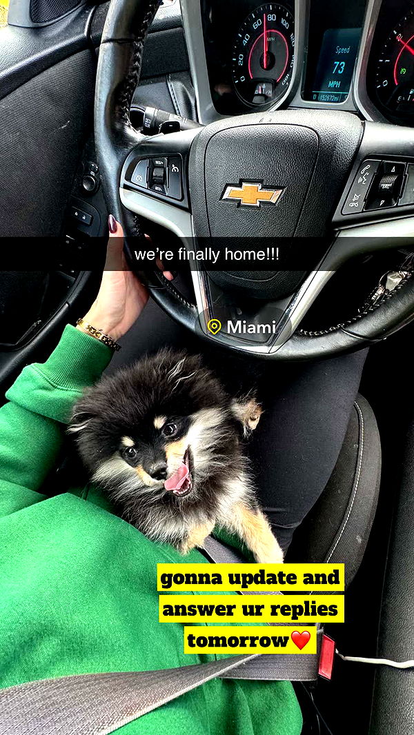 kaygcarlson image ~ Altpins