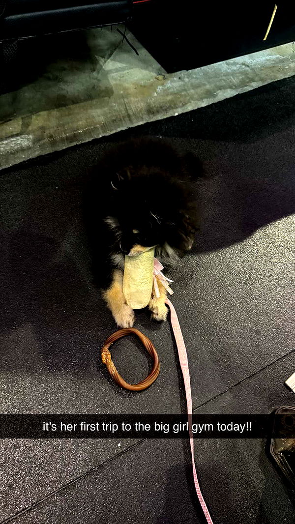 kaygcarlson image ~ Altpins