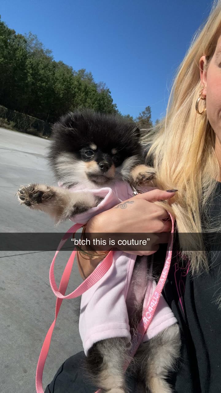 kaygcarlson snapchat image archive image