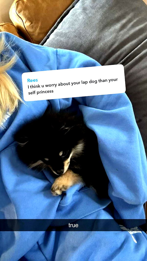 kaygcarlson image ~ Altpins