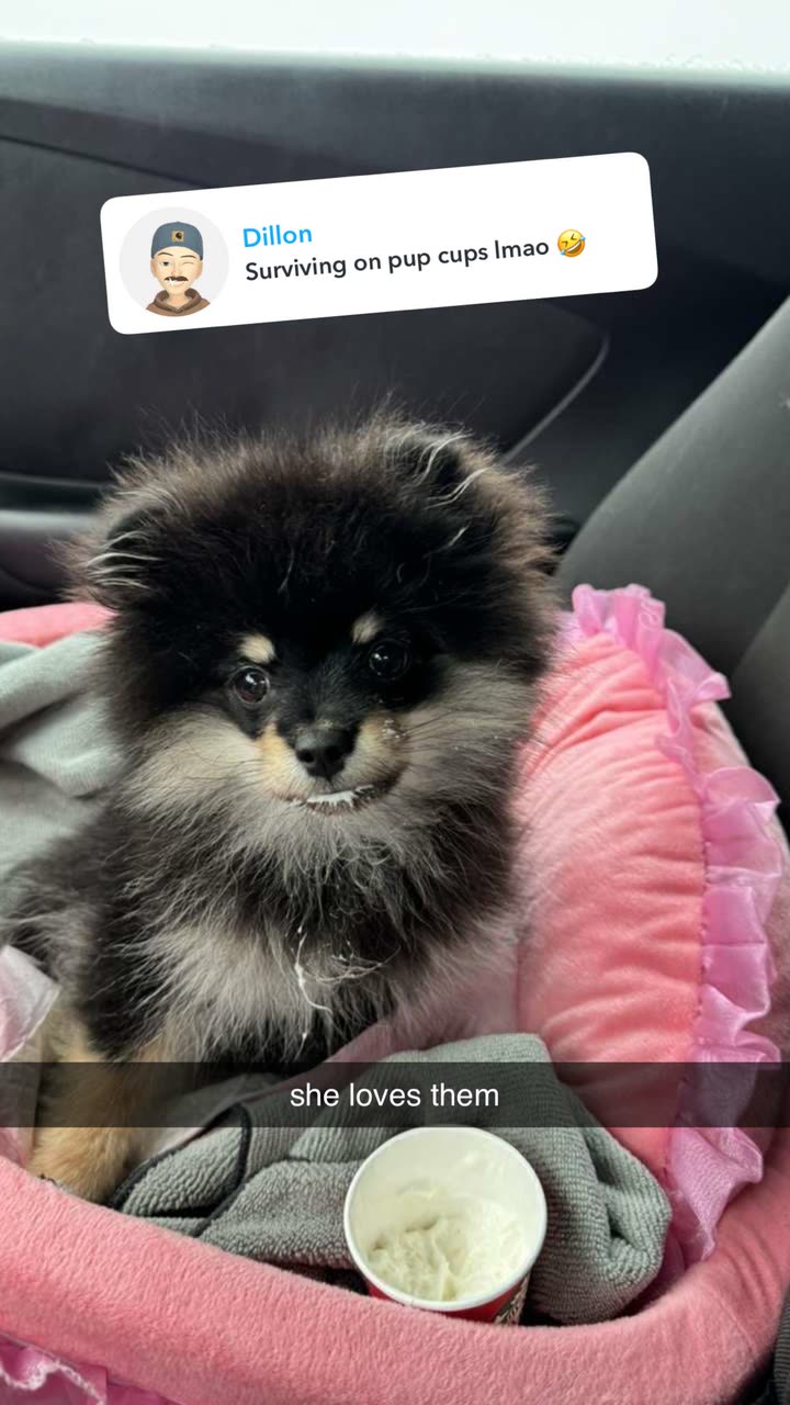 kaygcarlson snapchat image archive image