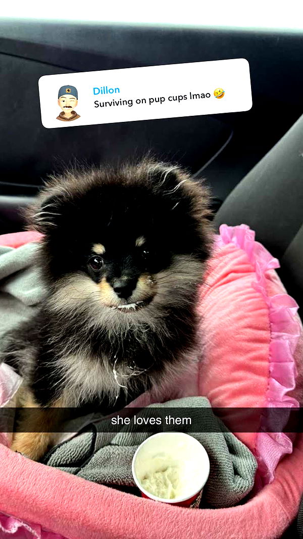 kaygcarlson image ~ Altpins