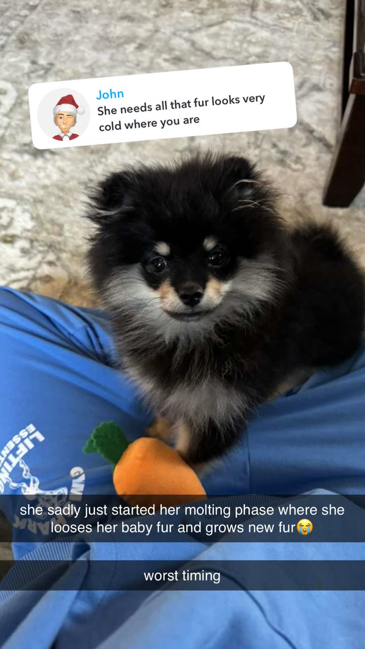 kaygcarlson snapchat image archive image