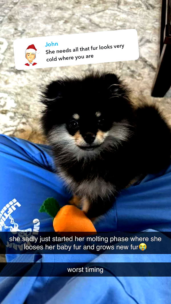 kaygcarlson image ~ Altpins