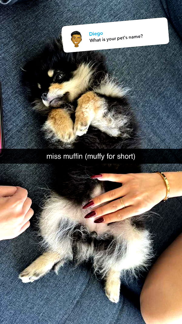 kaygcarlson image ~ Altpins