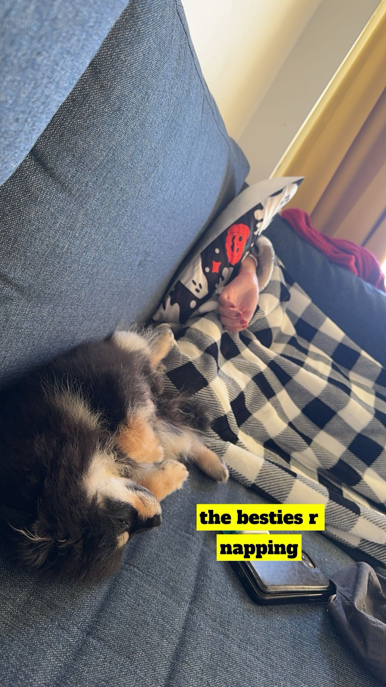 kaygcarlson snapchat image archive image