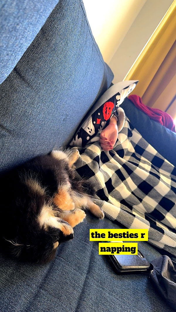 kaygcarlson image ~ Altpins