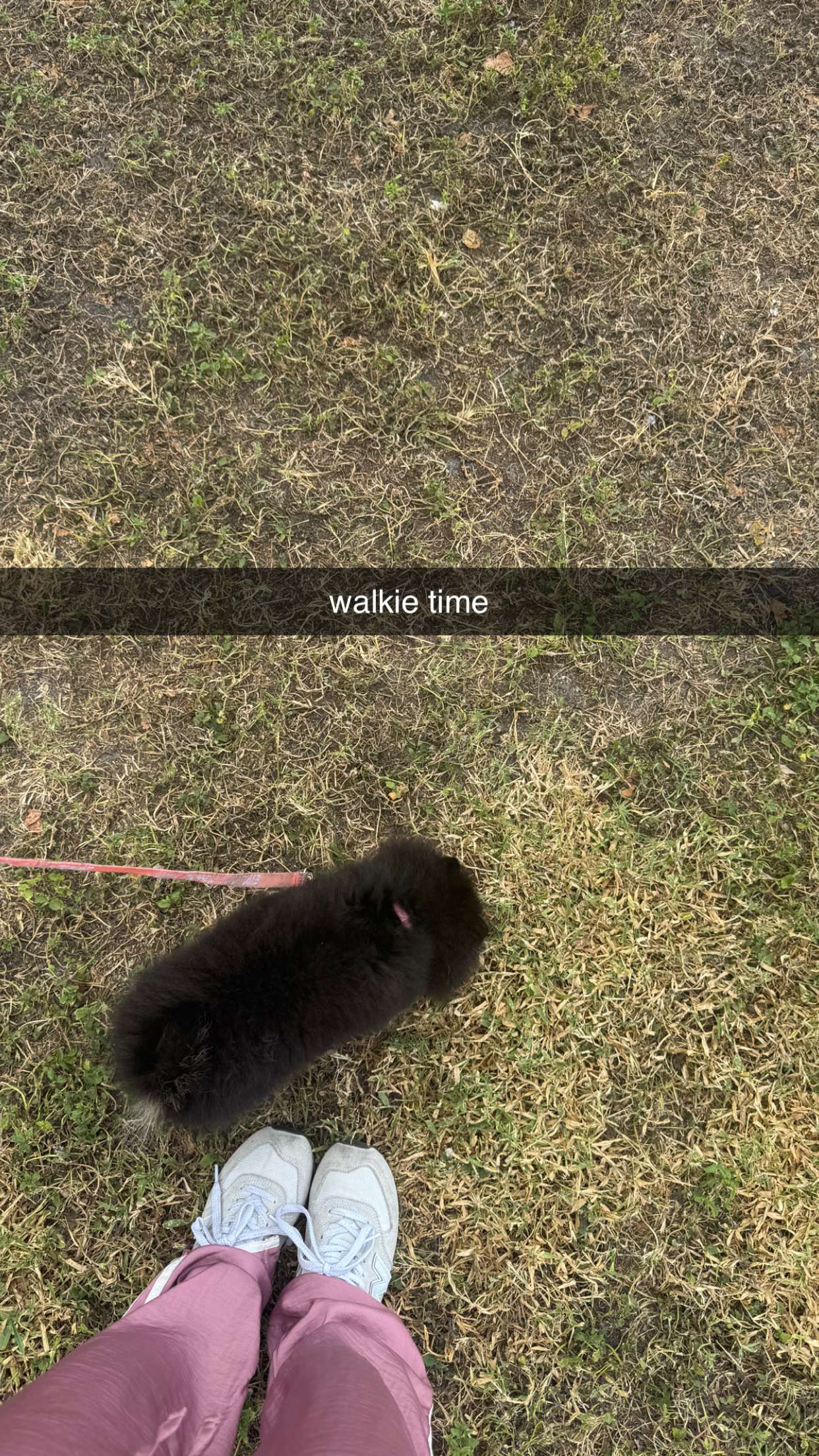 kaygcarlson snapchat image archive image