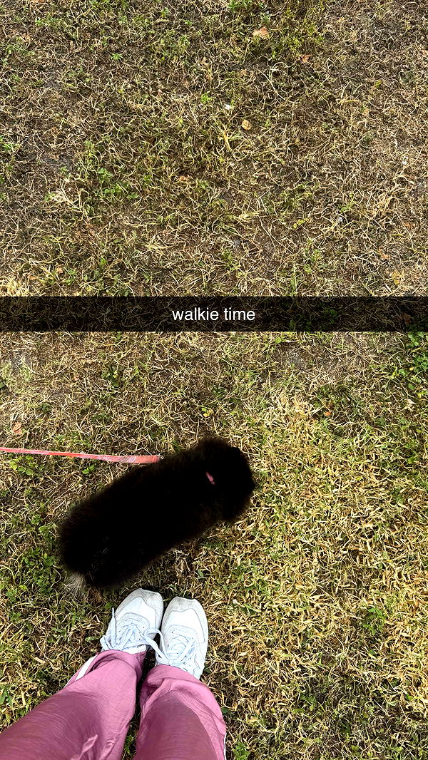 kaygcarlson image ~ Altpins