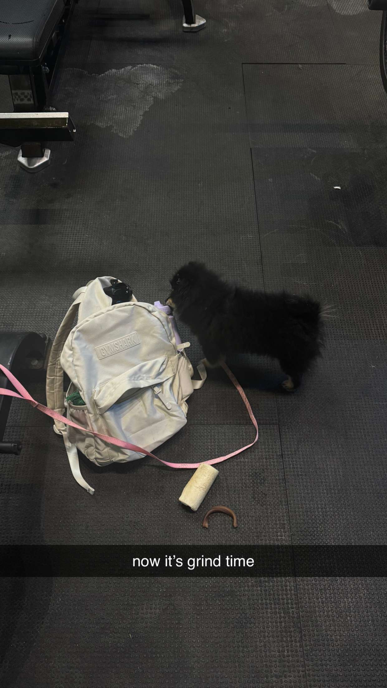 kaygcarlson snapchat image archive image