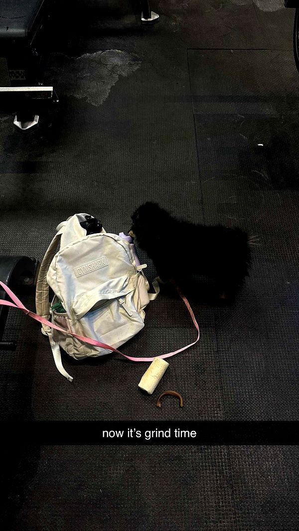 kaygcarlson image ~ Altpins