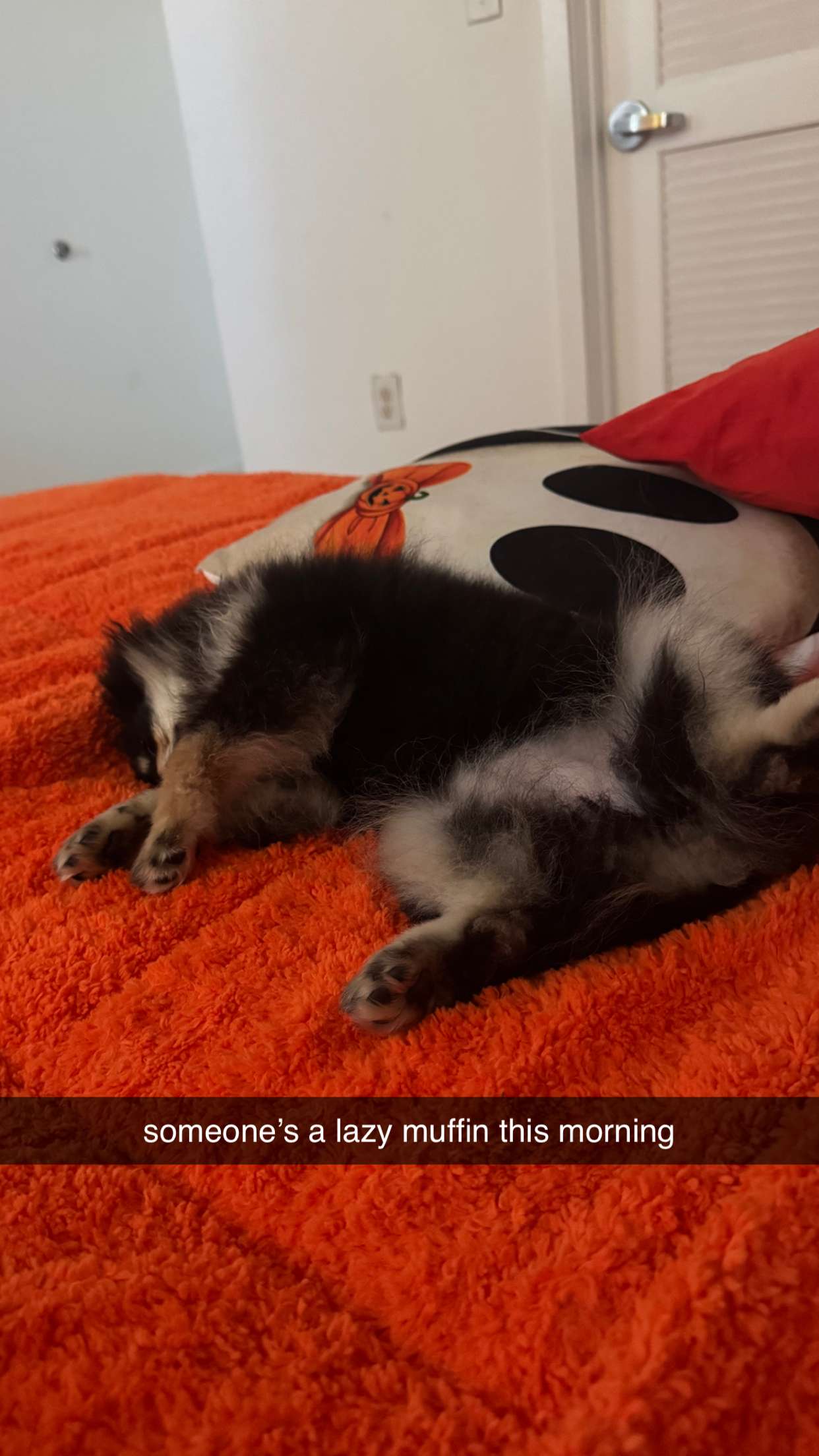 kaygcarlson snapchat image archive image