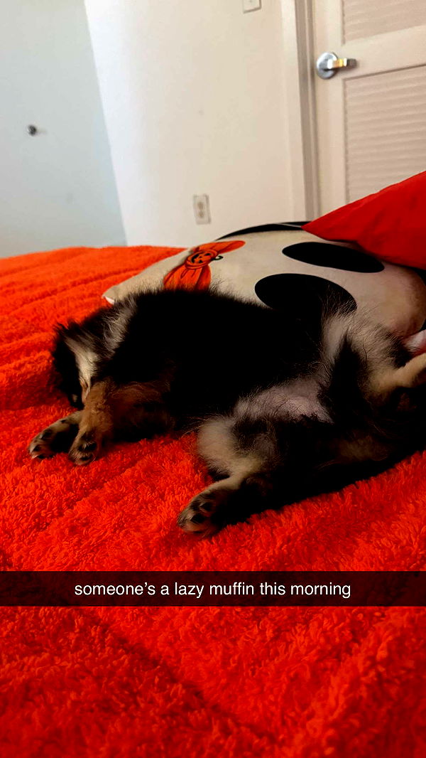 kaygcarlson image ~ Altpins