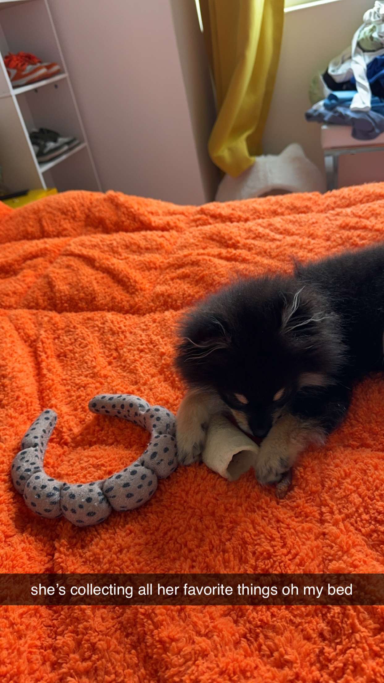 kaygcarlson snapchat image archive image