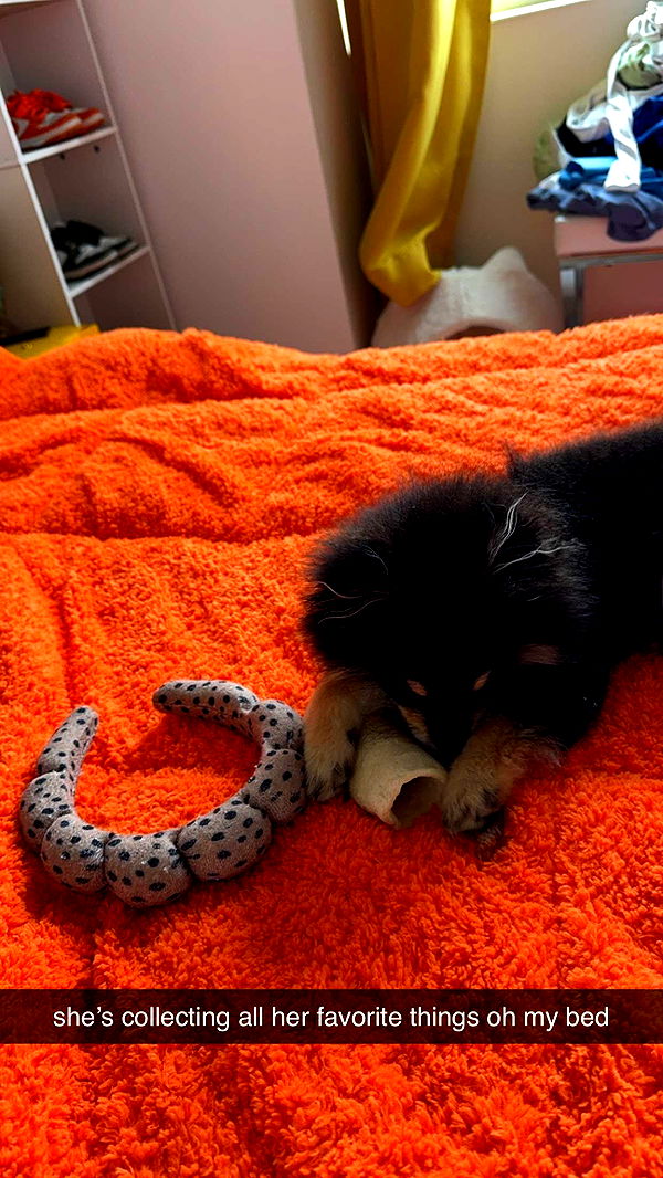 kaygcarlson image ~ Altpins