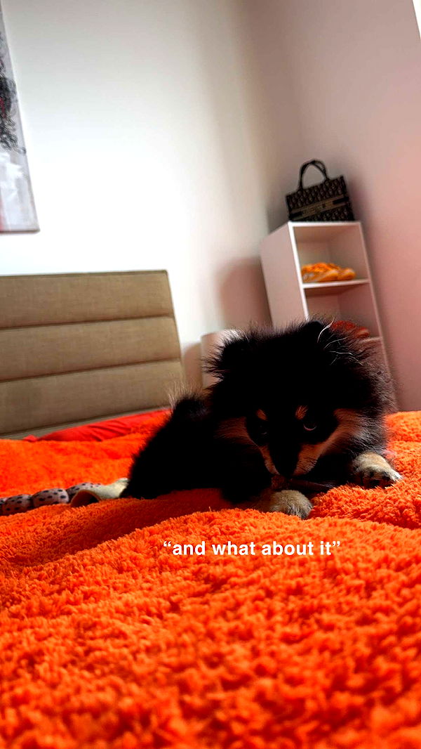 kaygcarlson image ~ Altpins