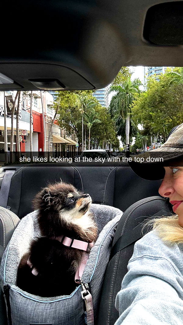 kaygcarlson image ~ Altpins