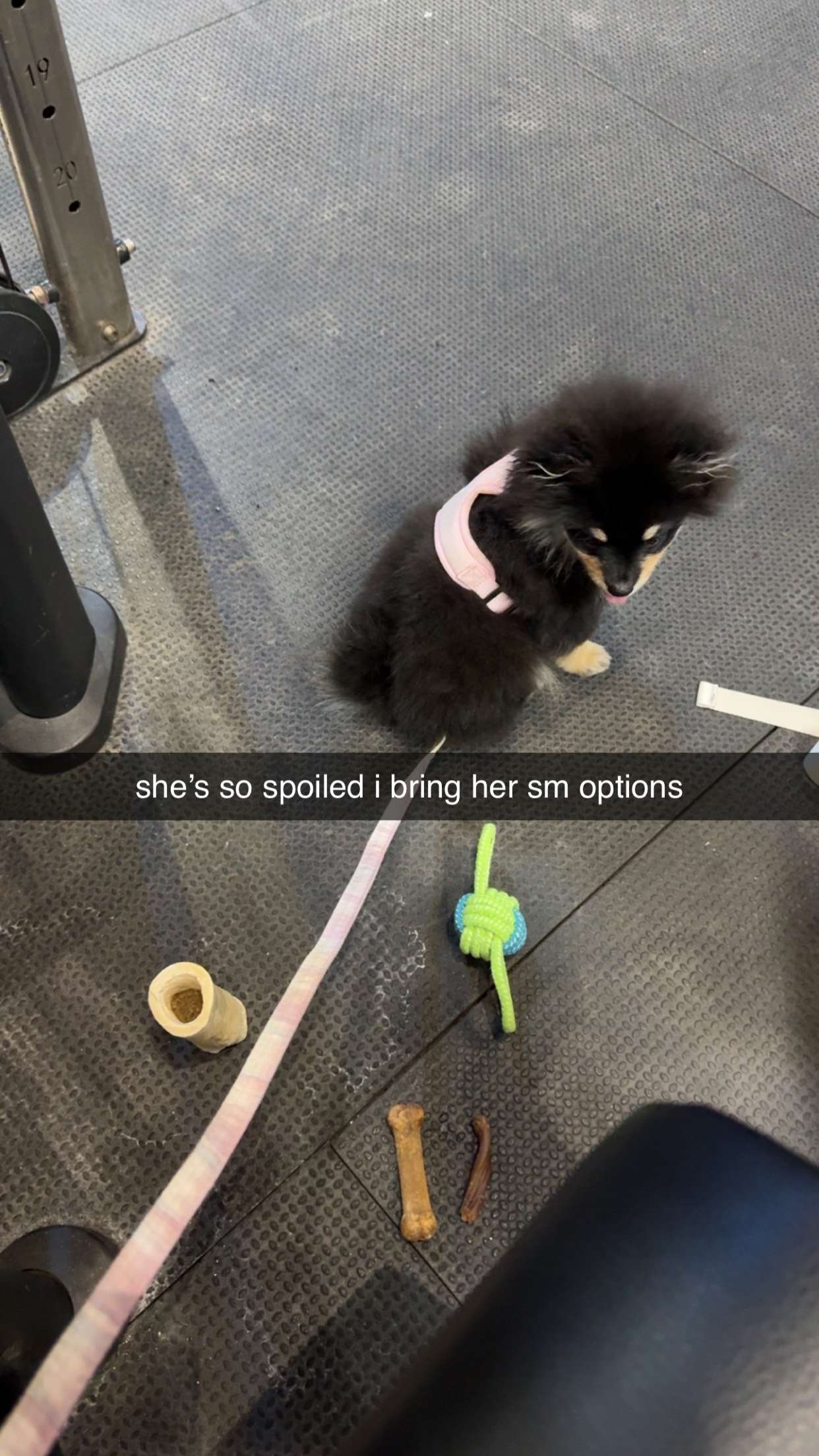 kaygcarlson snapchat image archive image