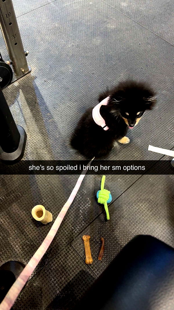 kaygcarlson image ~ Altpins