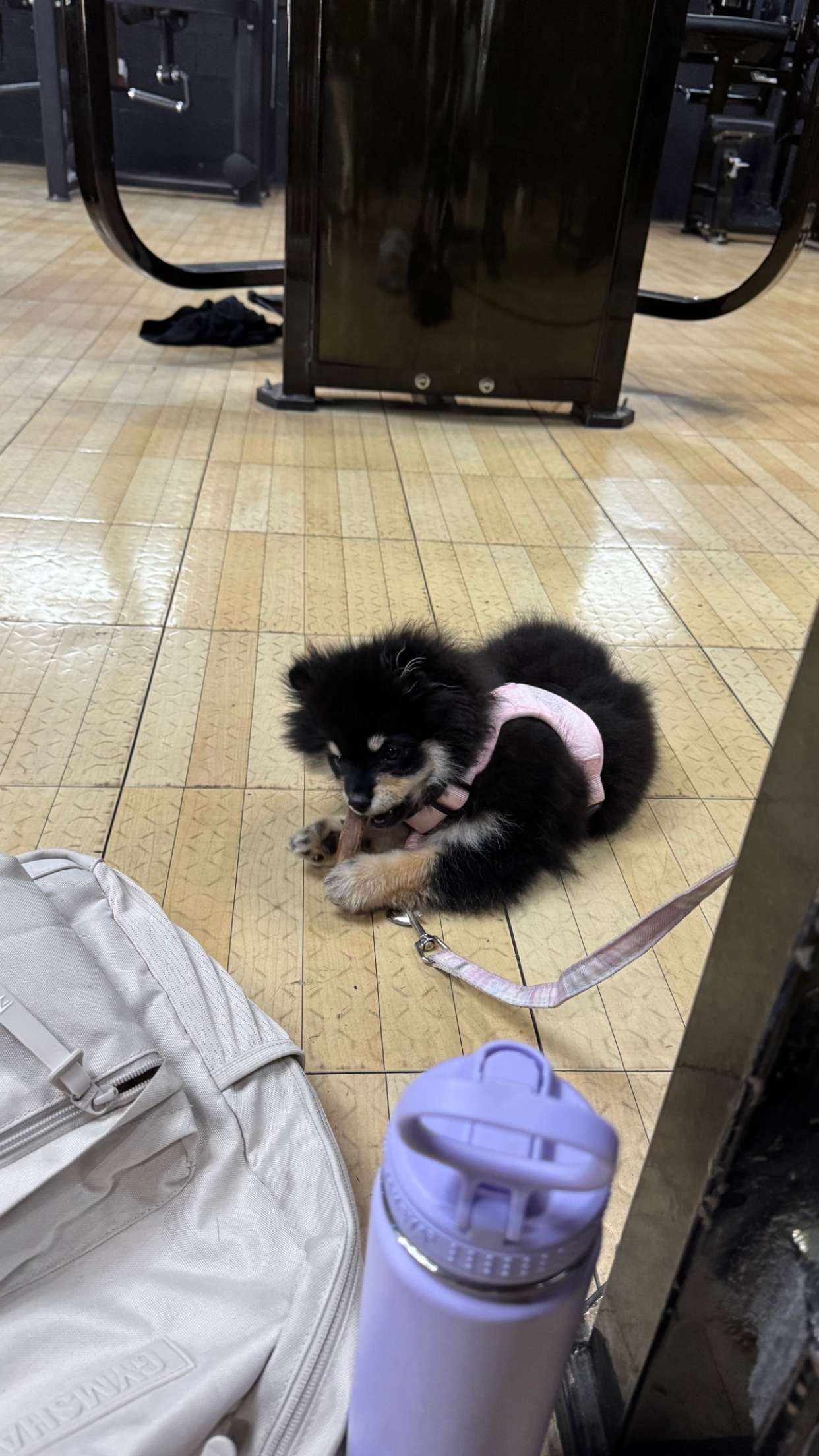 kaygcarlson snapchat image archive image