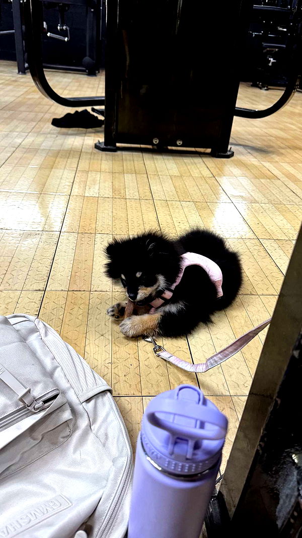 kaygcarlson image ~ Altpins