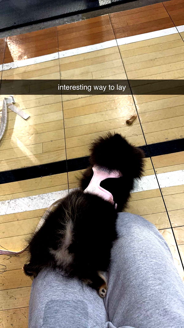 kaygcarlson image ~ Altpins