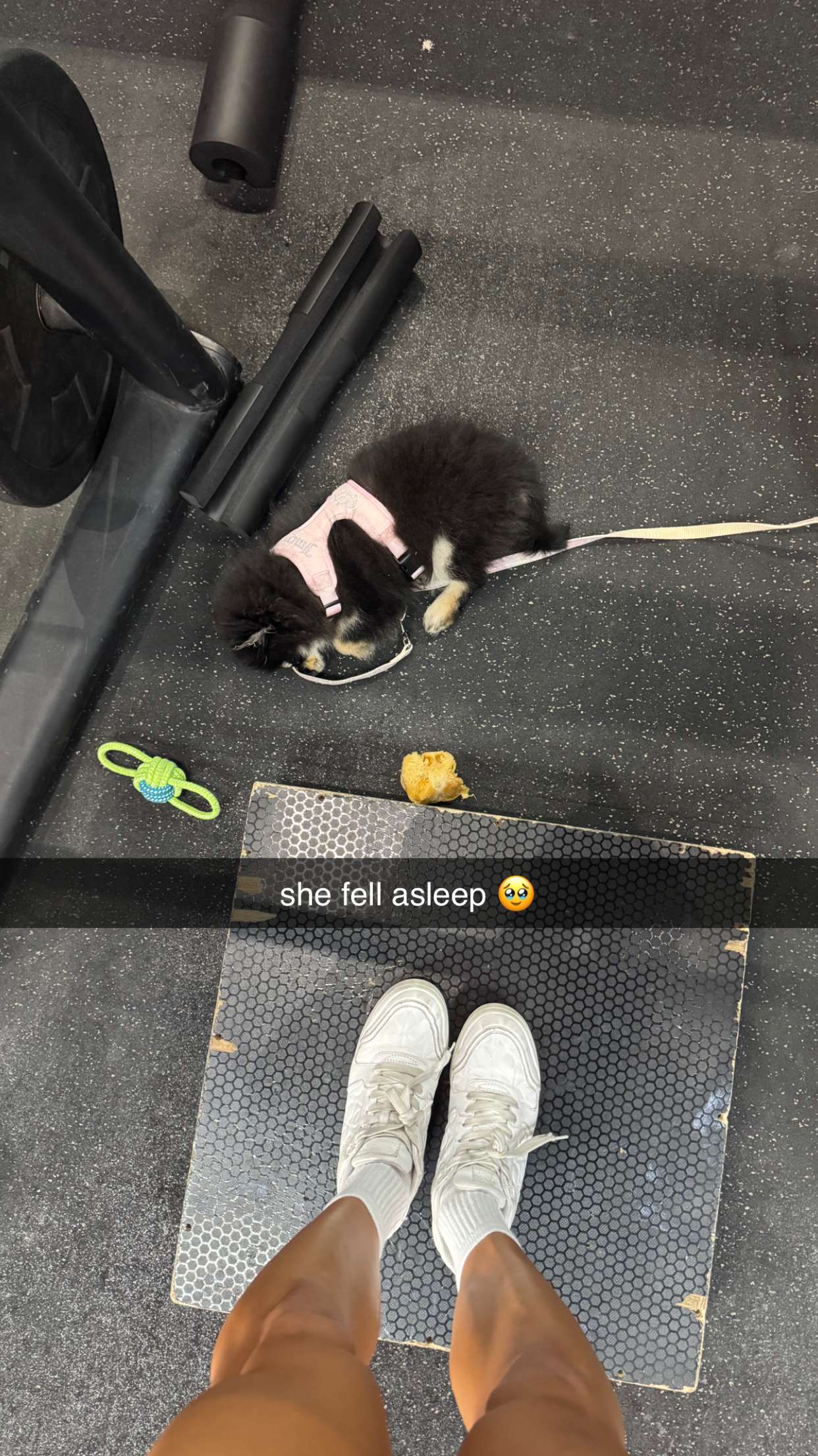 kaygcarlson snapchat image archive image