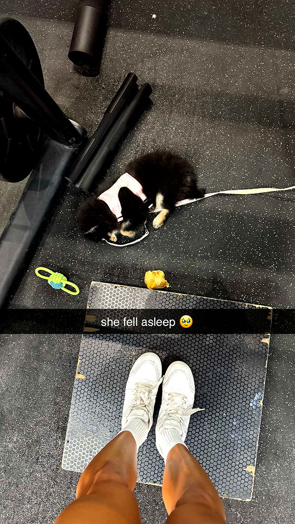 kaygcarlson image ~ Altpins