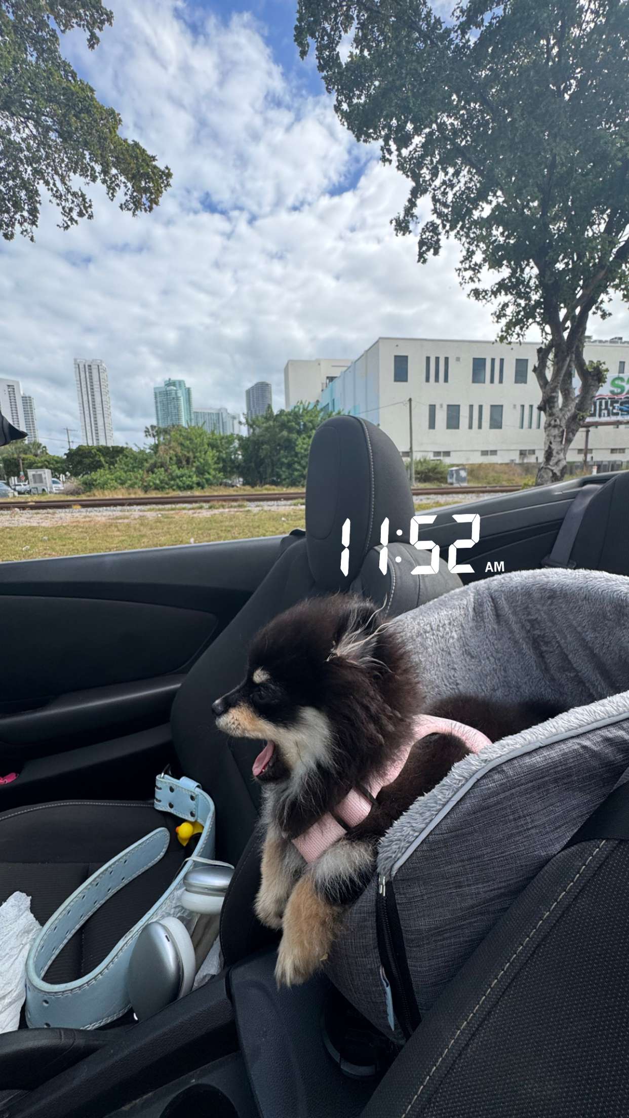 kaygcarlson snapchat image archive image