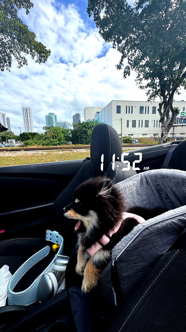 kaygcarlson image ~ Altpins