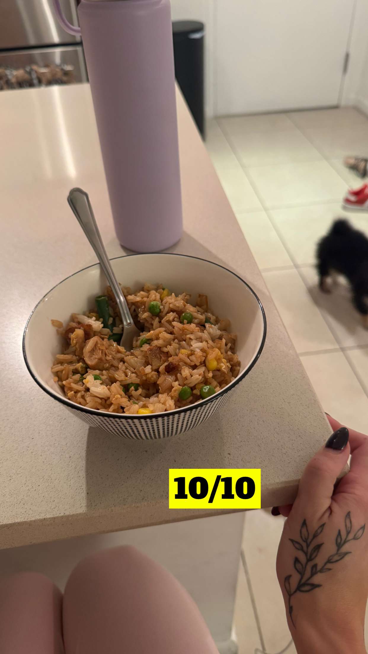 kaygcarlson snapchat image archive image