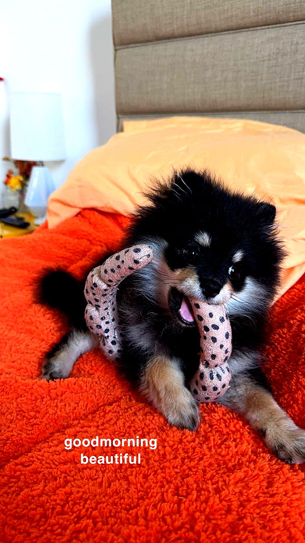 kaygcarlson image ~ Altpins