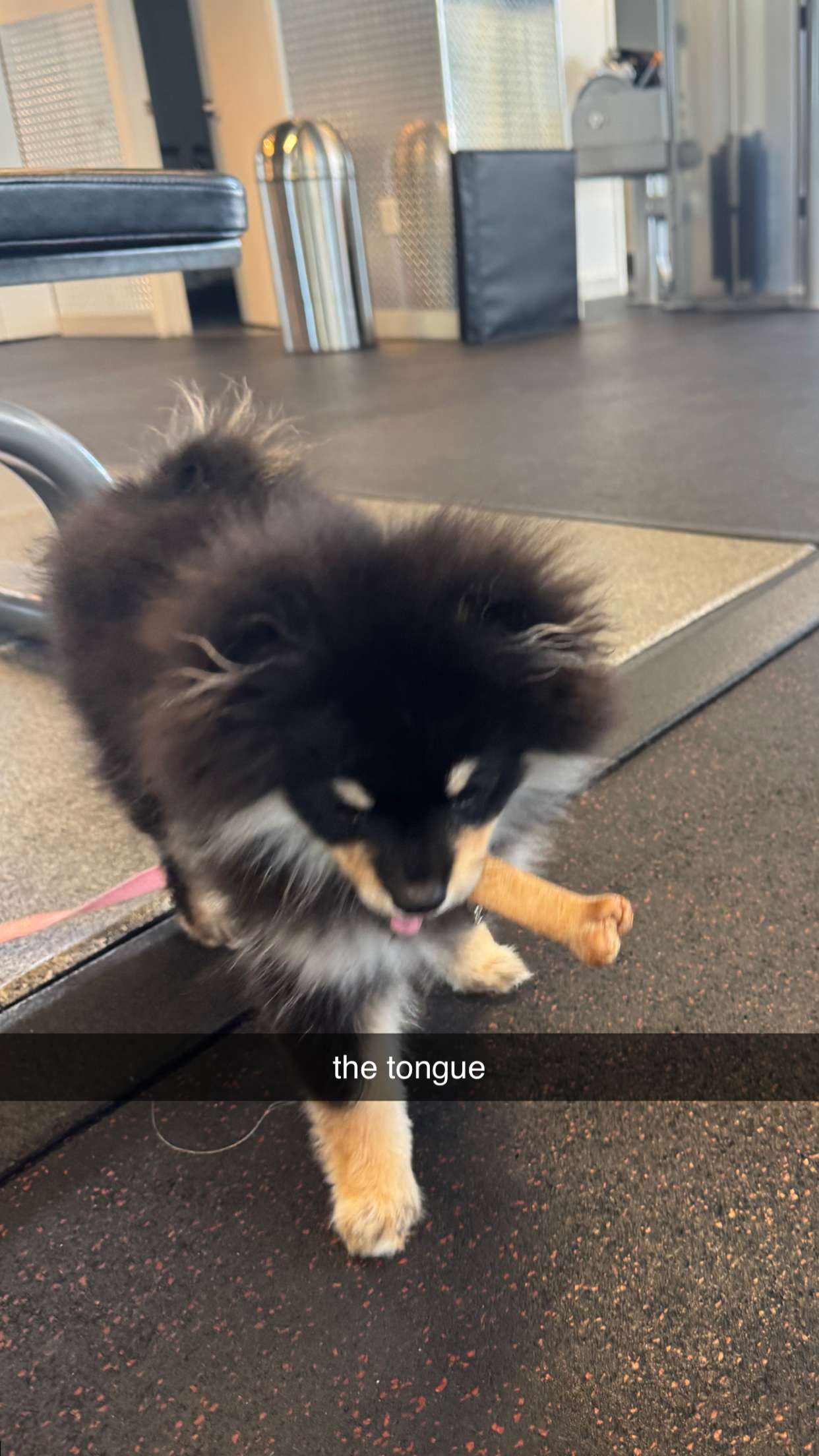 kaygcarlson snapchat image archive image