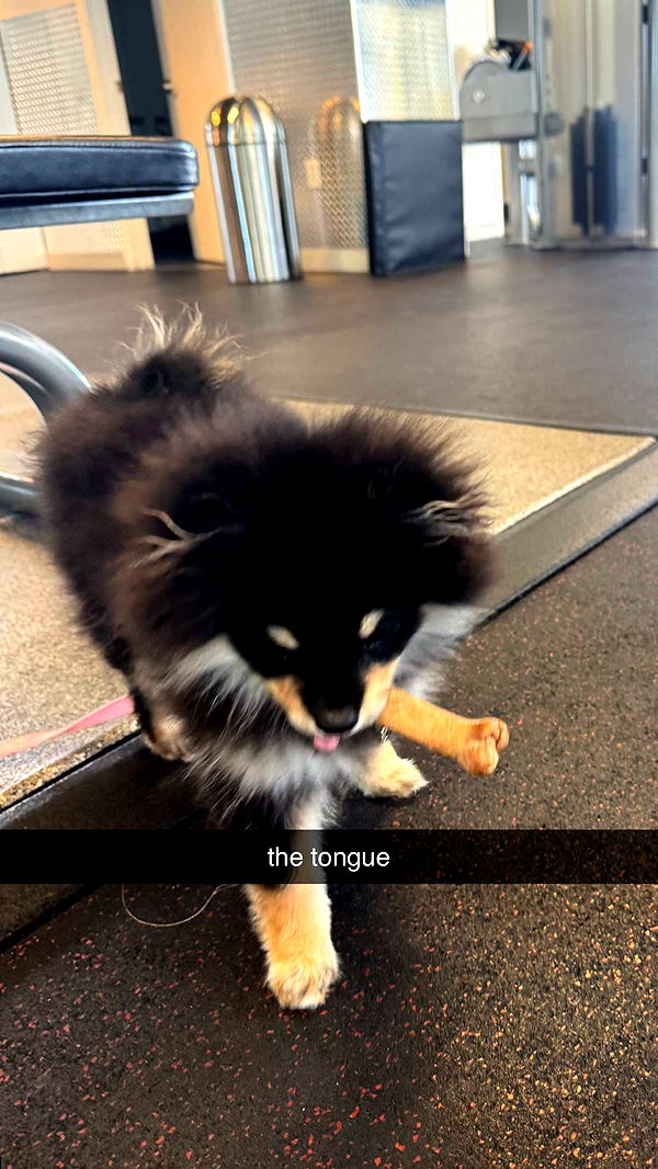 kaygcarlson image ~ Altpins