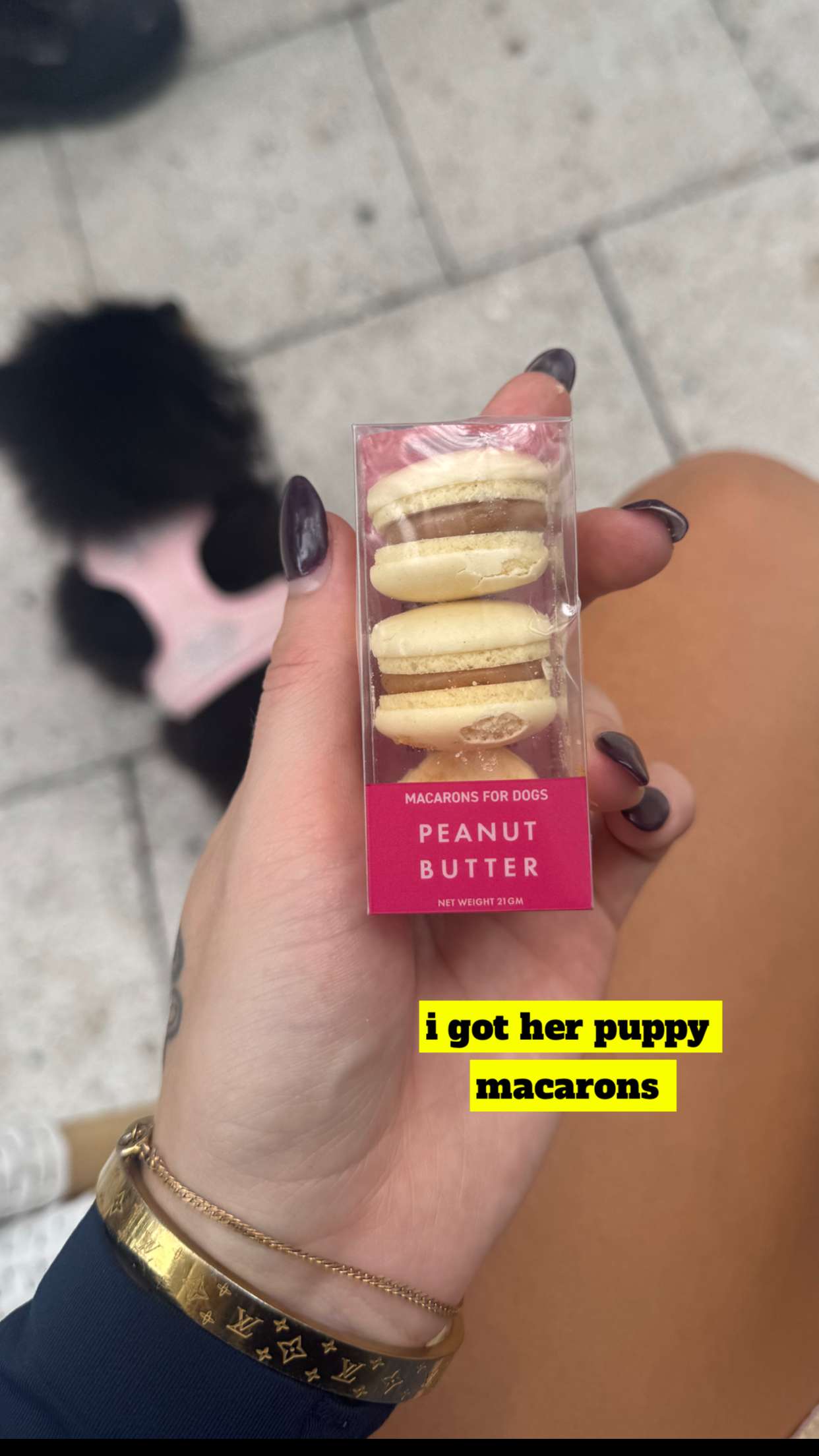 kaygcarlson snapchat image archive image