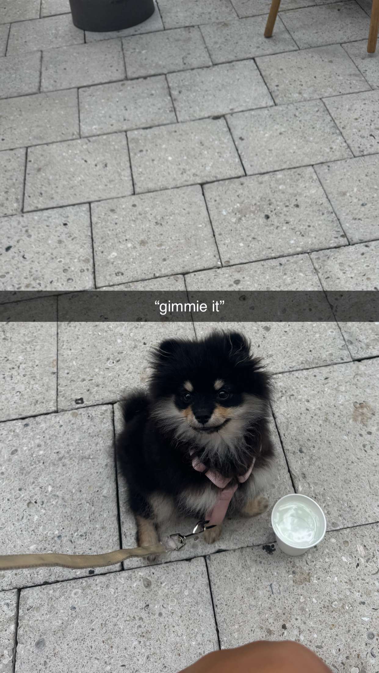 kaygcarlson snapchat image archive image