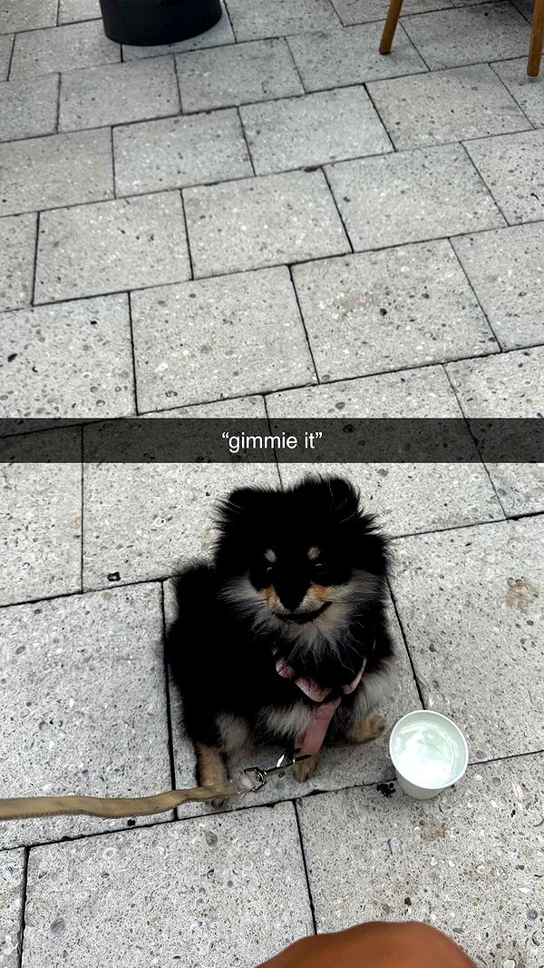 kaygcarlson image ~ Altpins