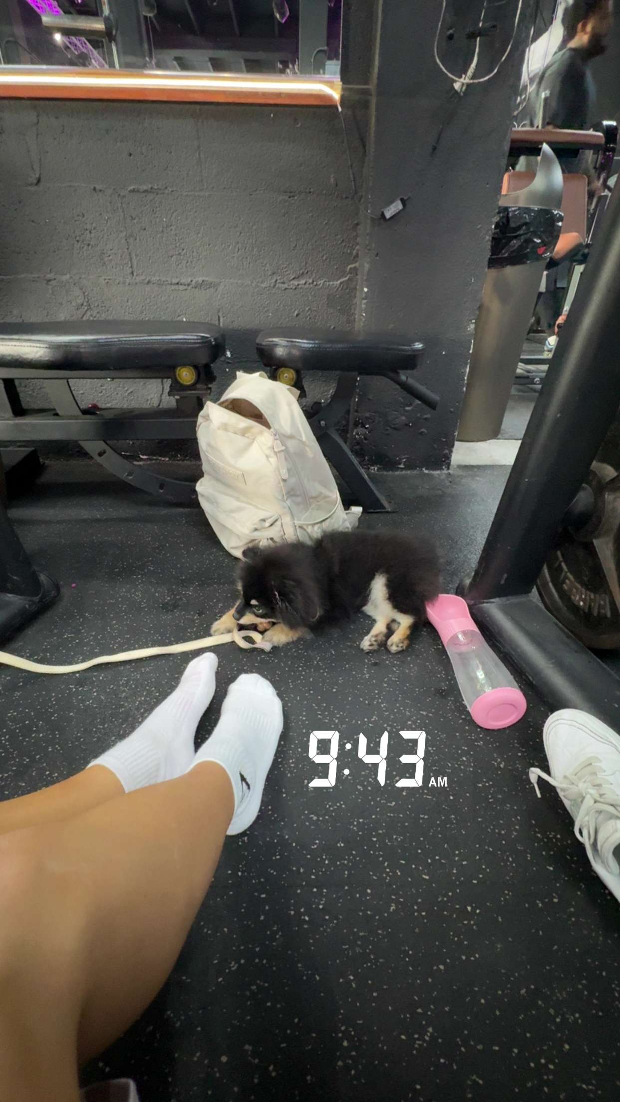 kaygcarlson snapchat image archive image