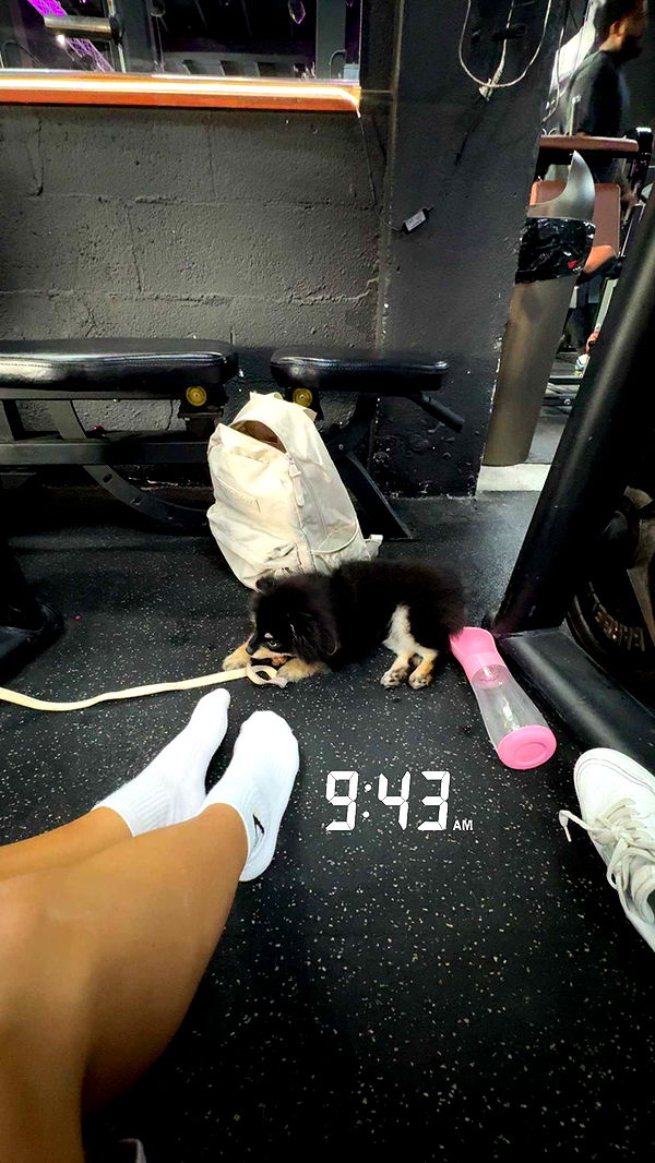 kaygcarlson image ~ Altpins