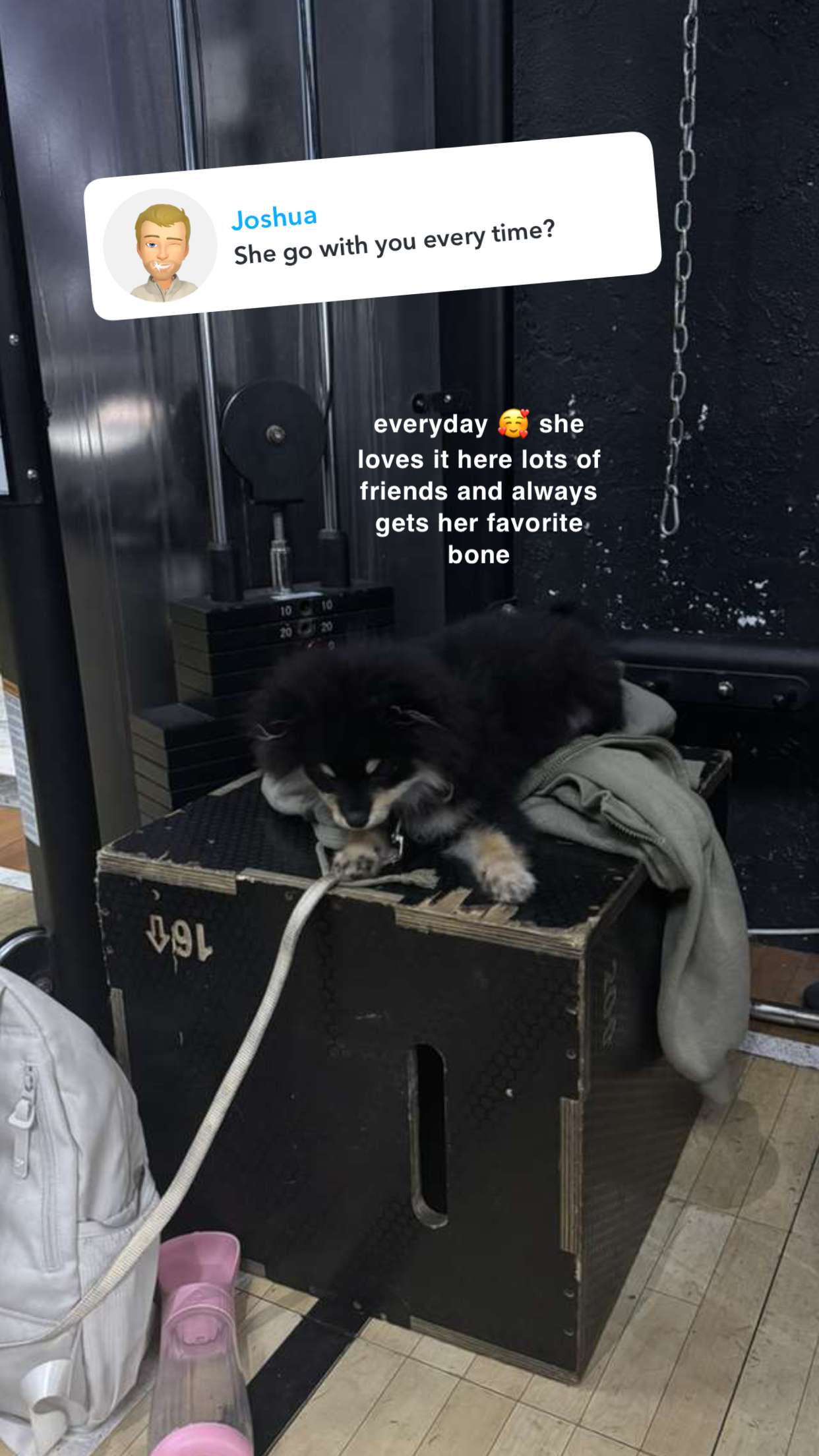 kaygcarlson snapchat image archive image