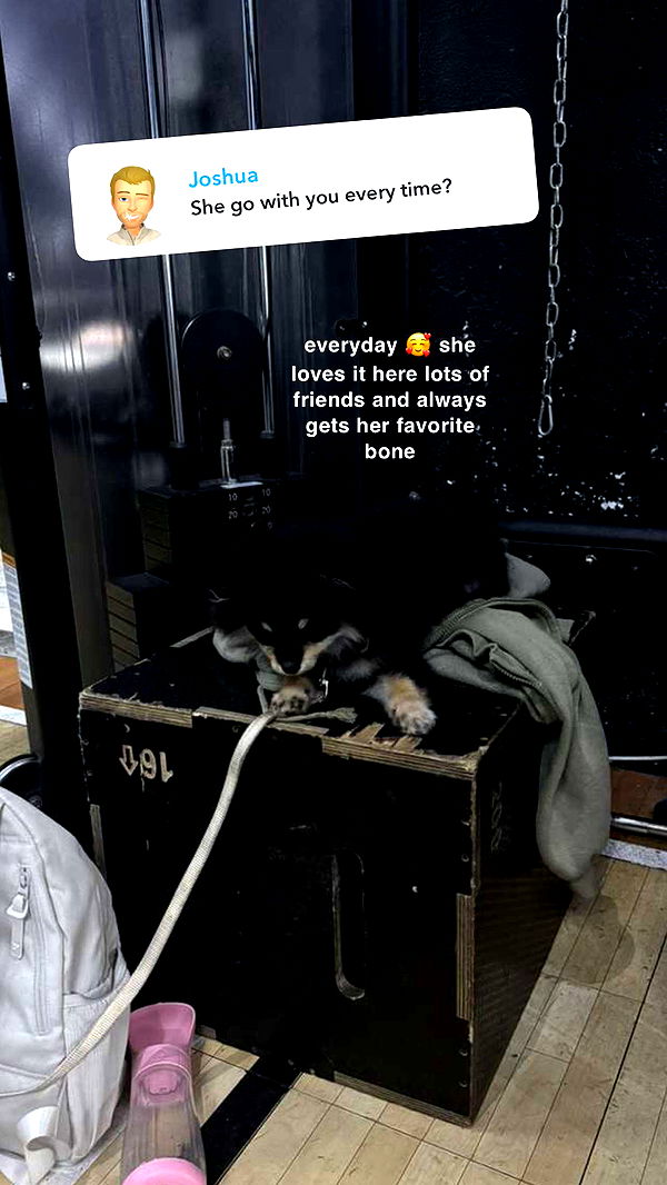 kaygcarlson image ~ Altpins