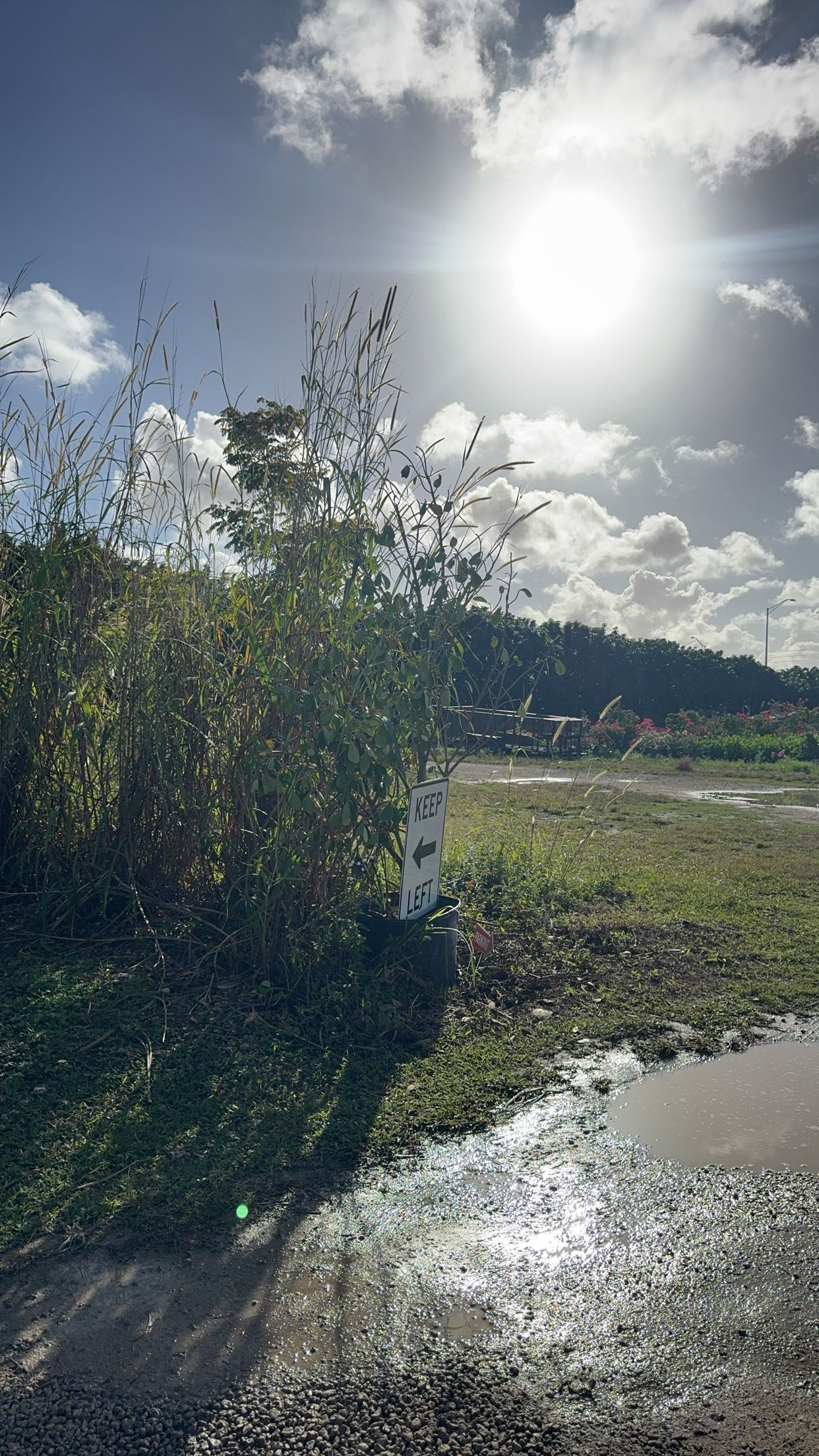 kaygcarlson snapchat image archive image